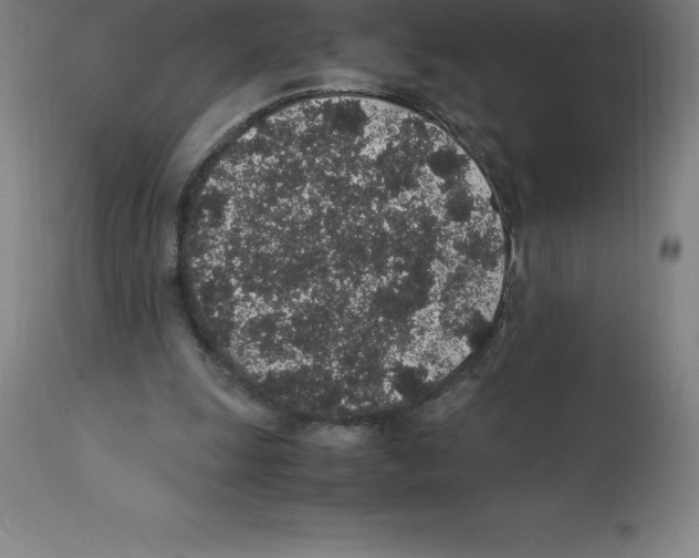 X0000112110247200909151231