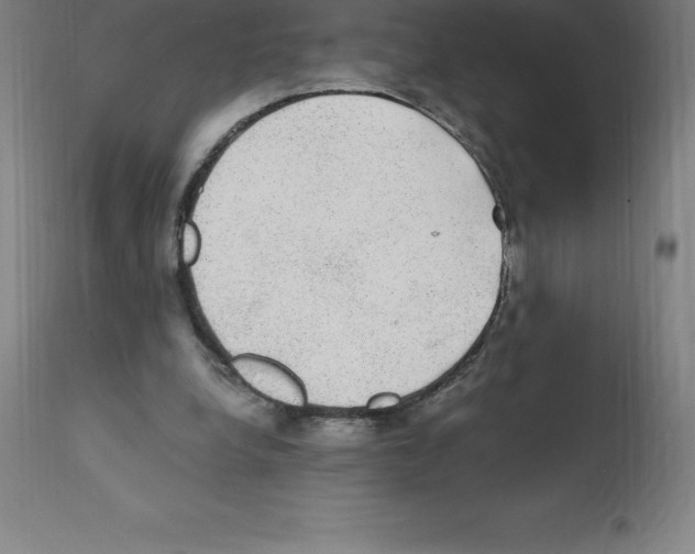 X0000112110248200909151231