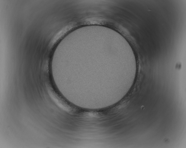 X0000112110250200909151231