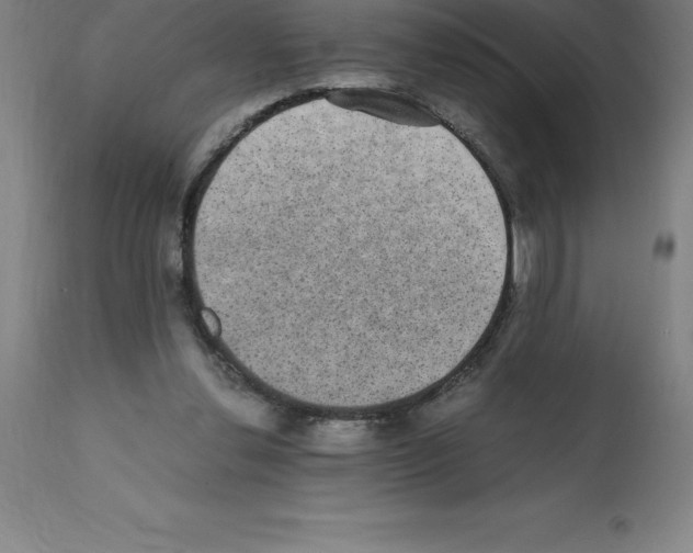 X0000112110252200909151231
