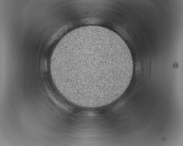 X0000112110254200909151231