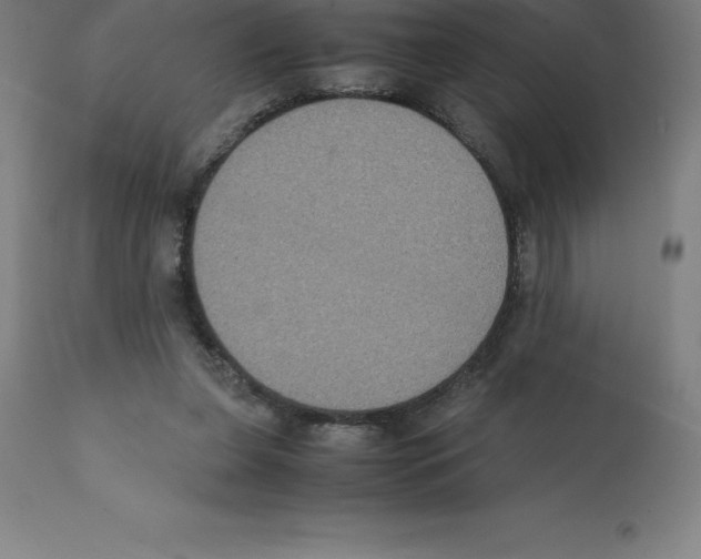 X0000112110255200909151231