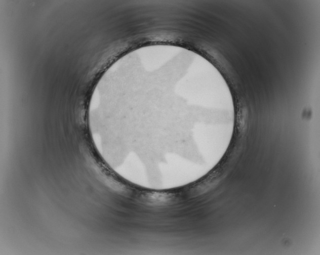 X0000112110261200909151231