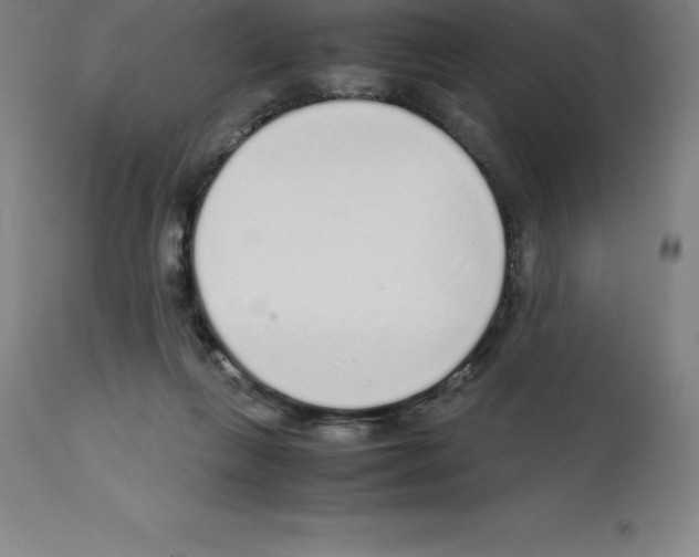 X0000112110263200909151231