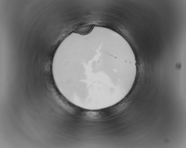 X0000112110265200909151231