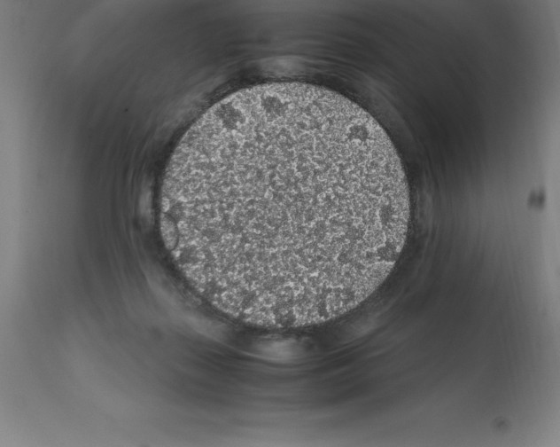 X0000112110267200909151231
