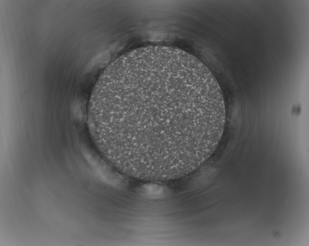 X0000112110272200909151232