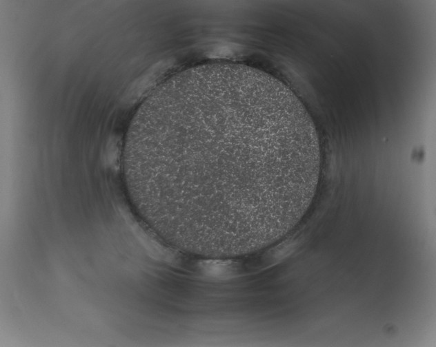 X0000112110273200909151232
