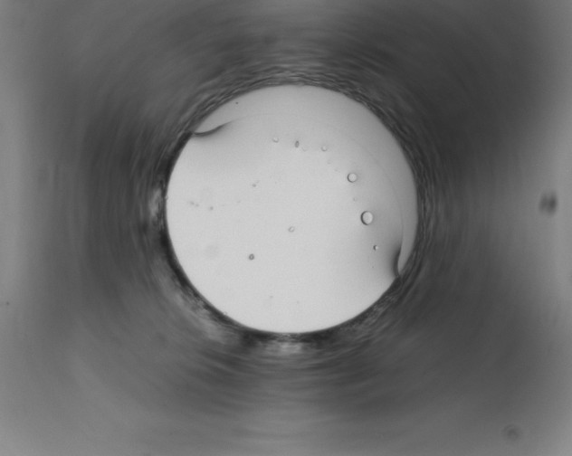 X0000112110276200909151232