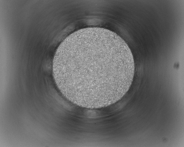 X0000112110277200909151232