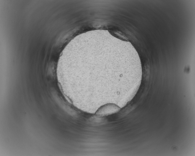 X0000112110280200909151232