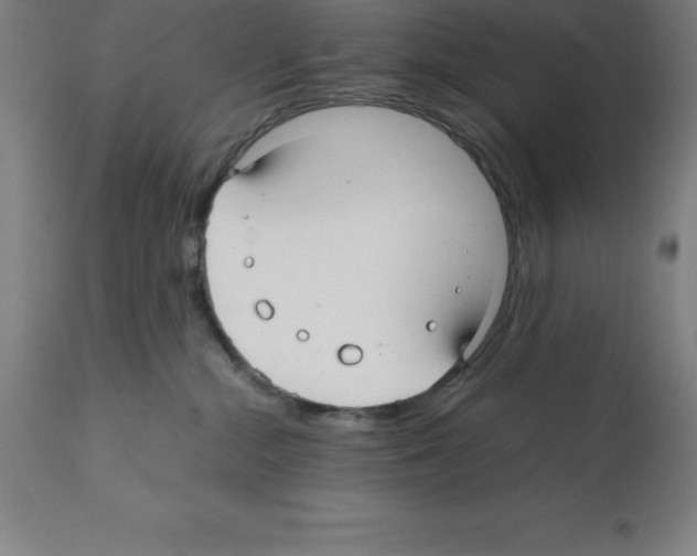 X0000112110284200909151232