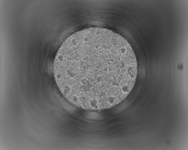 X0000112110285200909151232