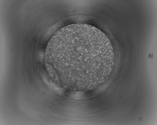 X0000112110288200909151232