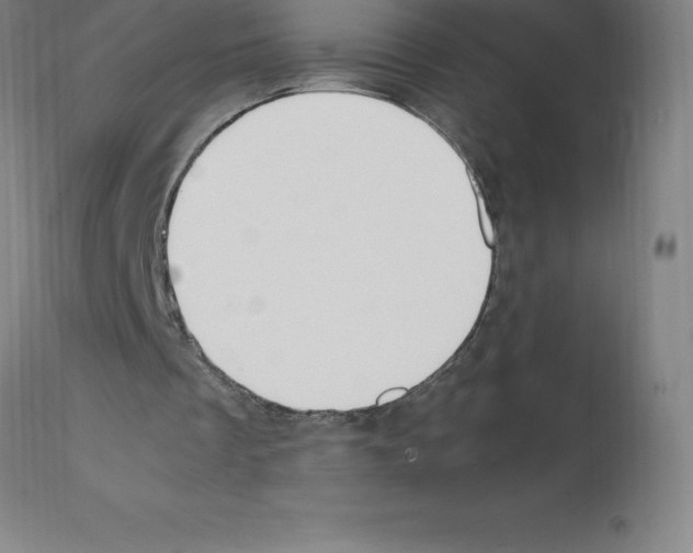 X0000112110289200909151231