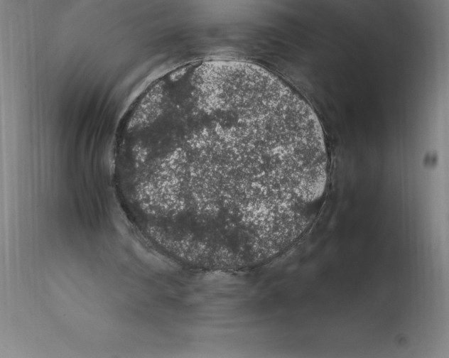 X0000112110290200909151231