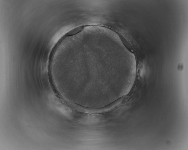 X0000112110292200909151231