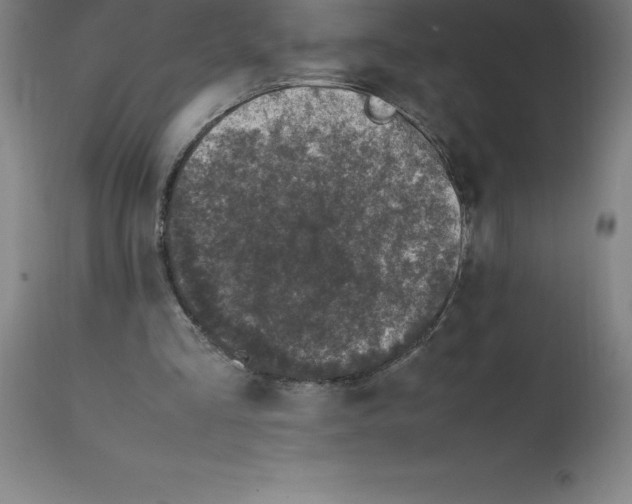 X0000112110293200909151231