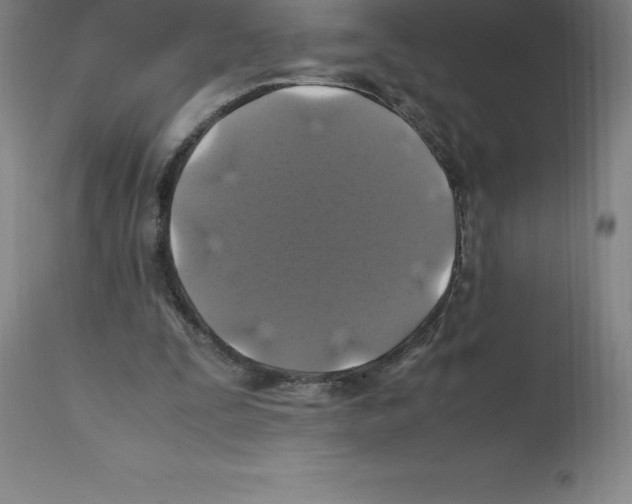 X0000112110295200909151231