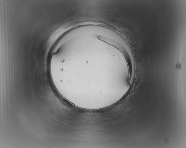 X0000112110296200909151231