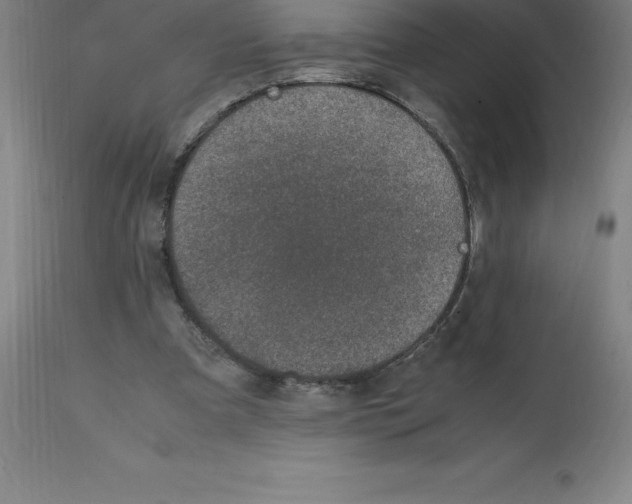 X0000112110297200909151231