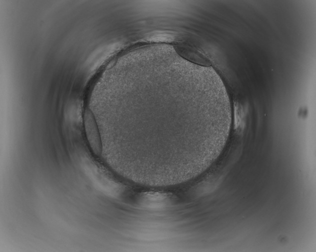 X0000112110300200909151231