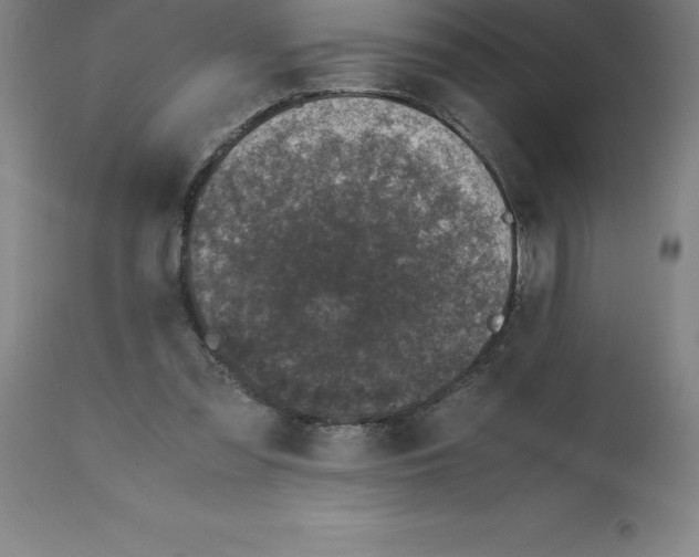 X0000112110301200909151231