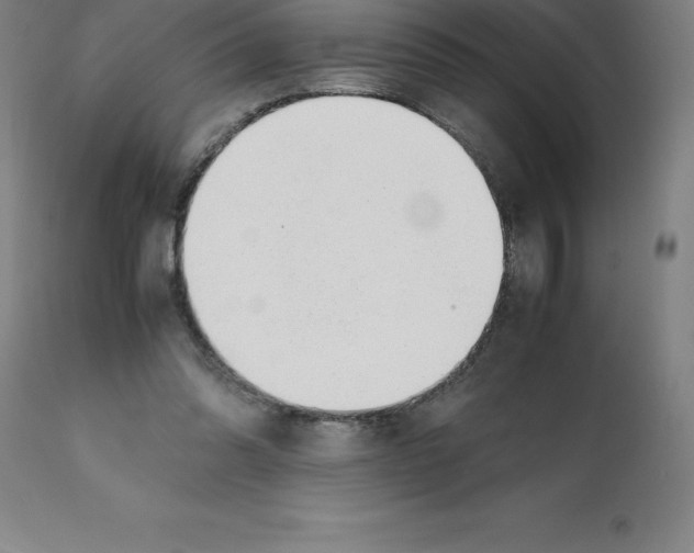 X0000112110302200909151231