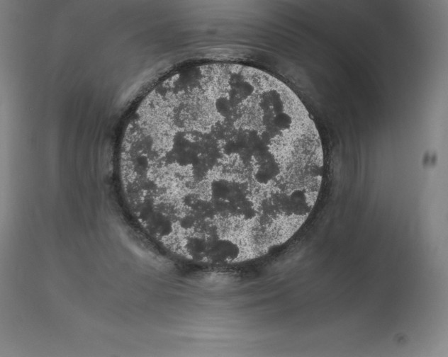 X0000112110303200909151231