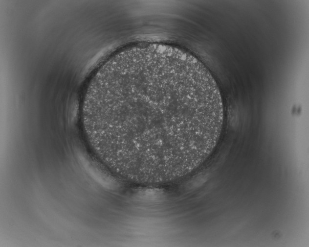 X0000112110304200909151231