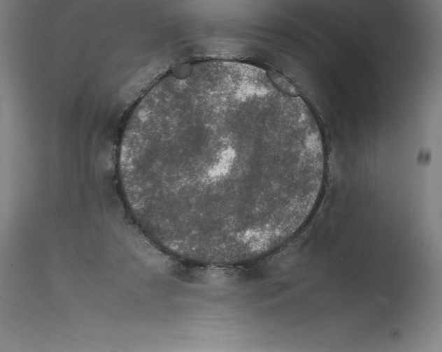 X0000112110305200909151231