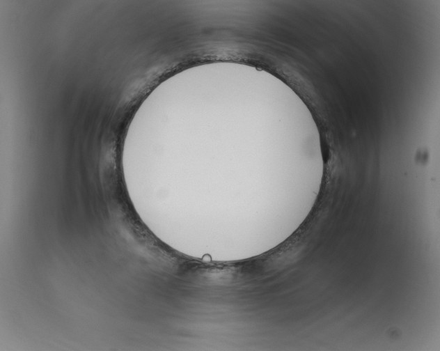 X0000112110306200909151231