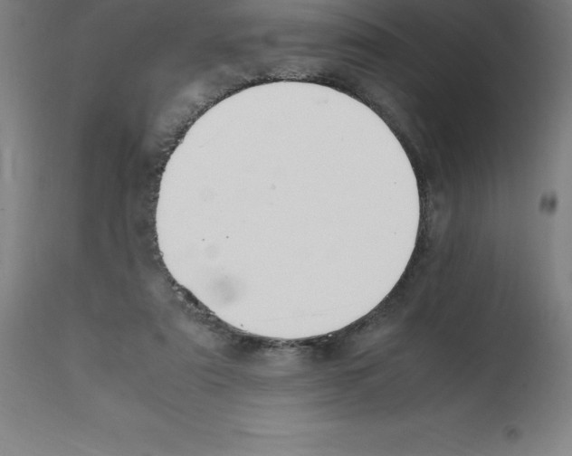 X0000112110307200909151231