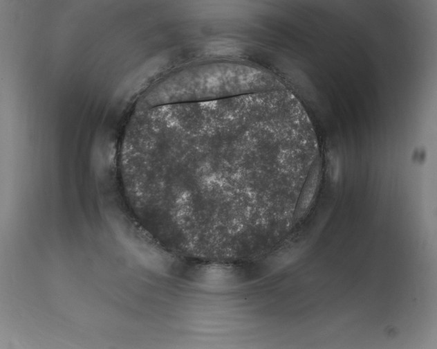 X0000112110308200909151230