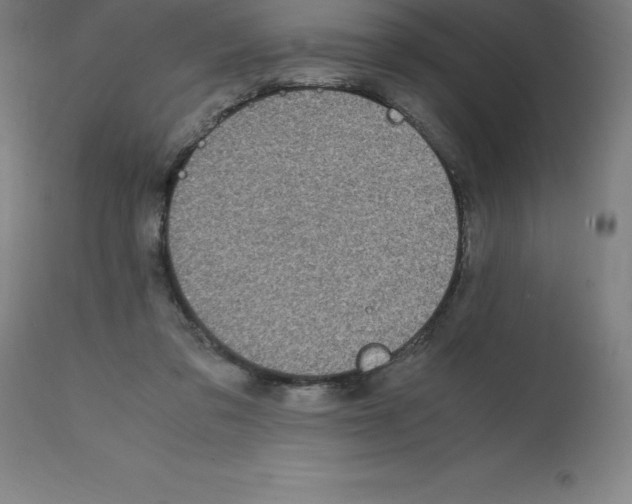 X0000112110309200909151230