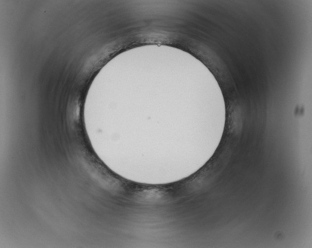 X0000112110310200909151230