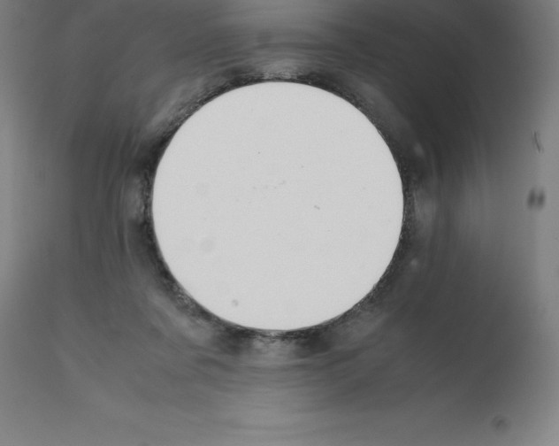 X0000112110311200909151230