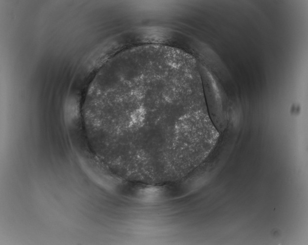 X0000112110312200909151230