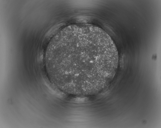 X0000112110314200909151230