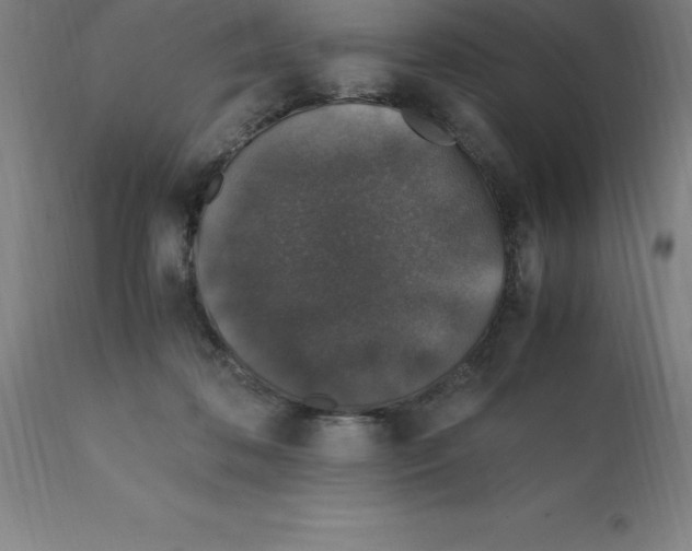 X0000112110316200909151230