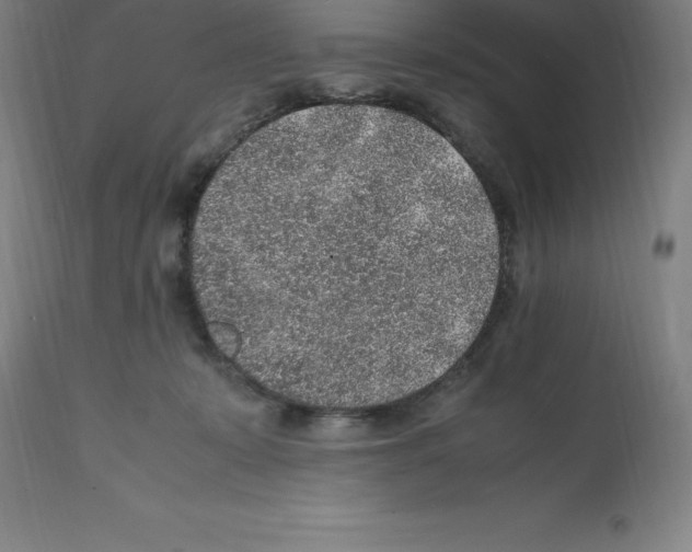 X0000112110319200909151230