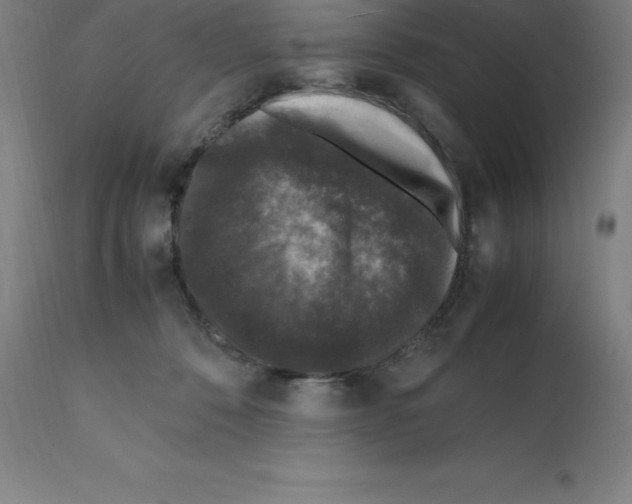 X0000112110320200909151230