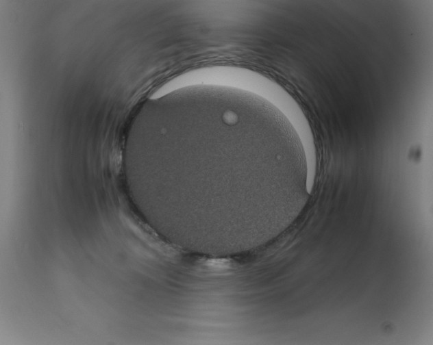 X0000112110324200909151230
