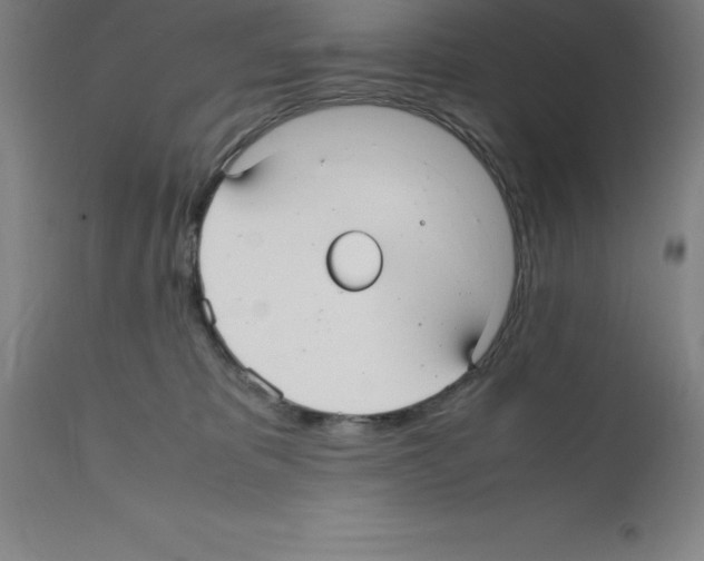 X0000112110325200909151230
