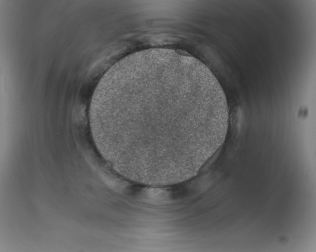 X0000112110327200909151230