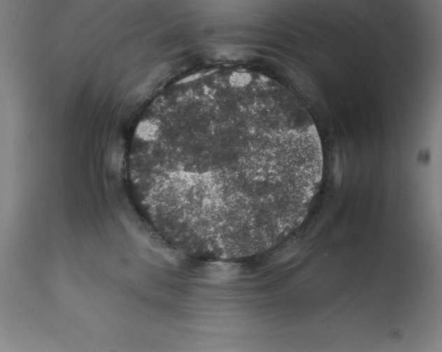 X0000112110328200909151230
