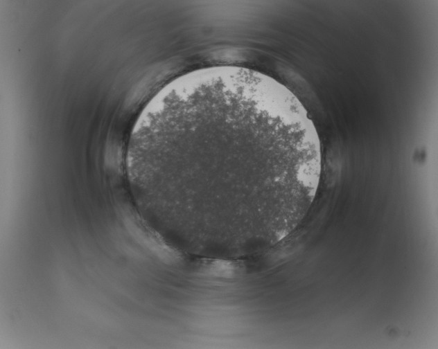 X0000112110330200909151230