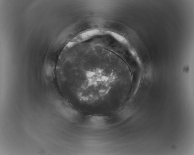X0000112110332200909151230