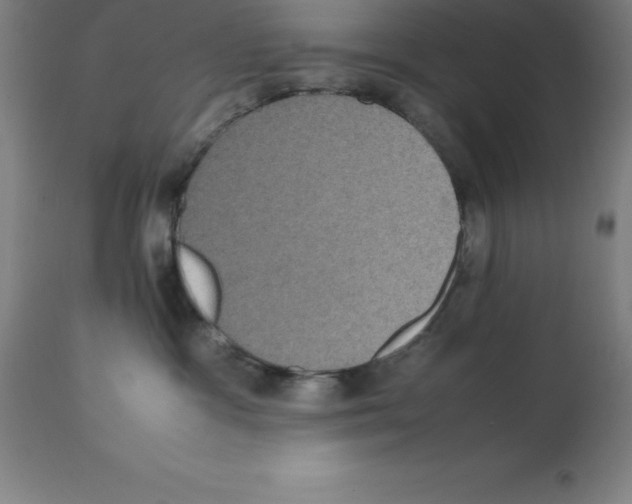 X0000112110333200909151230