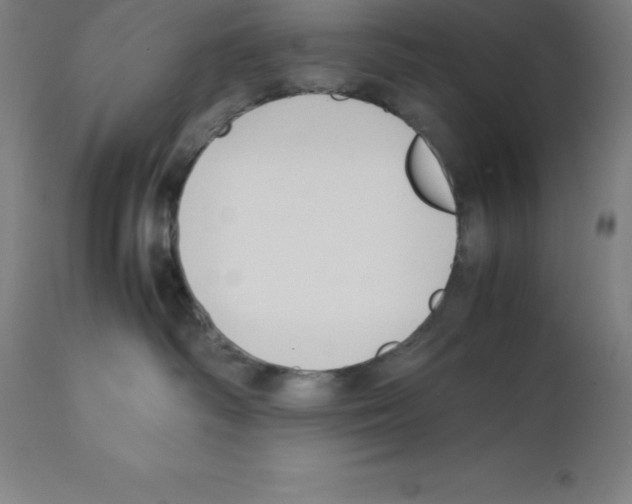 X0000112110334200909151230